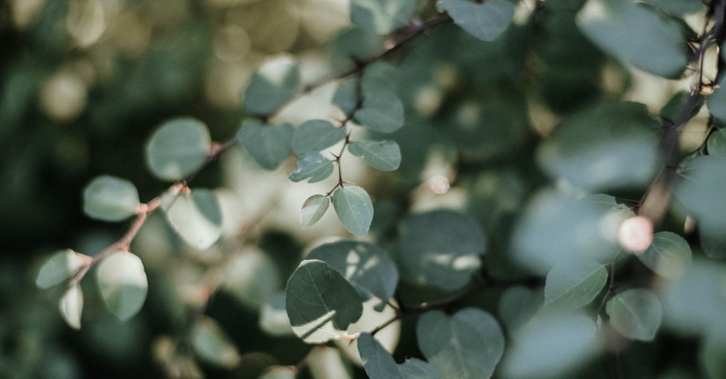 Follow me on SubStack image